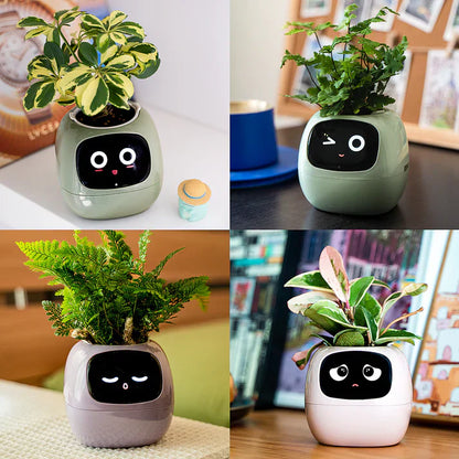 Fun Smart Flowerpot with Multiple Expressions