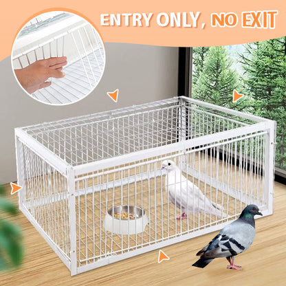 Great Sale🔥Auto Trap Humane Bird Cage