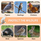 Great Sale🔥Auto Trap Humane Bird Cage