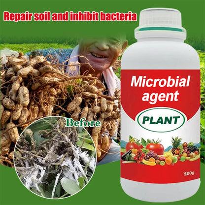 Plant, Melon And Fruit Microbial Bacterial Agent（50% OFF）