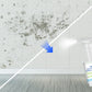 Powerful Multi-purpose Mold Removal Cleaner Spray