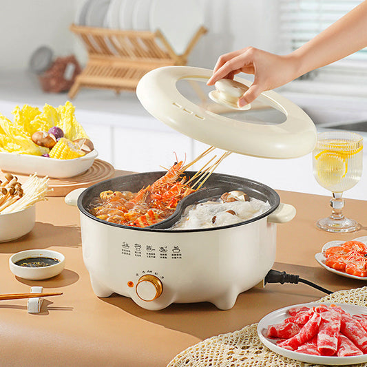 Multi-function Electric Hot Pot with Divider